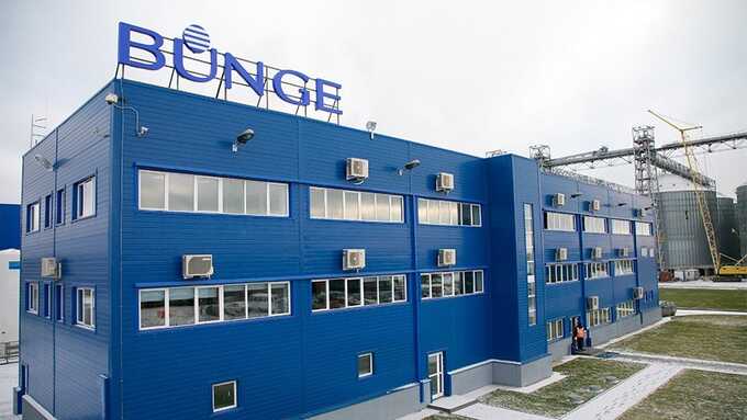     Bunge